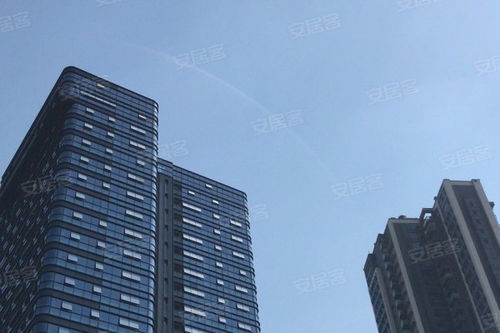 金地壹粵府綜合評析 優(yōu)勢、不足與市場口碑